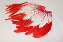 F01 Fan stripped Coque Feathers For Fascinator, Hats & Craft use