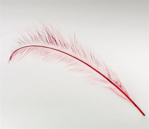 F304 Burnt Ostrich Feather - 27 - 28 inch
