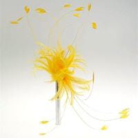 F6007 Long Coque and Hackle Feather Mount