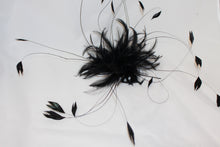 F6007 Long Coque and Hackle Feather Mount