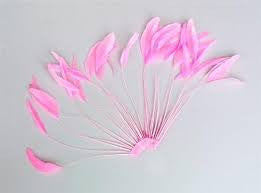 F01 Fan stripped Coque Feathers For Fascinator, Hats & Craft use